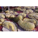 Thailand Amazing Durian and Fruit Fest @ Phuket